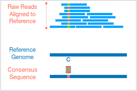 ConsensusGenome_AmbigousBase_Schematic.png