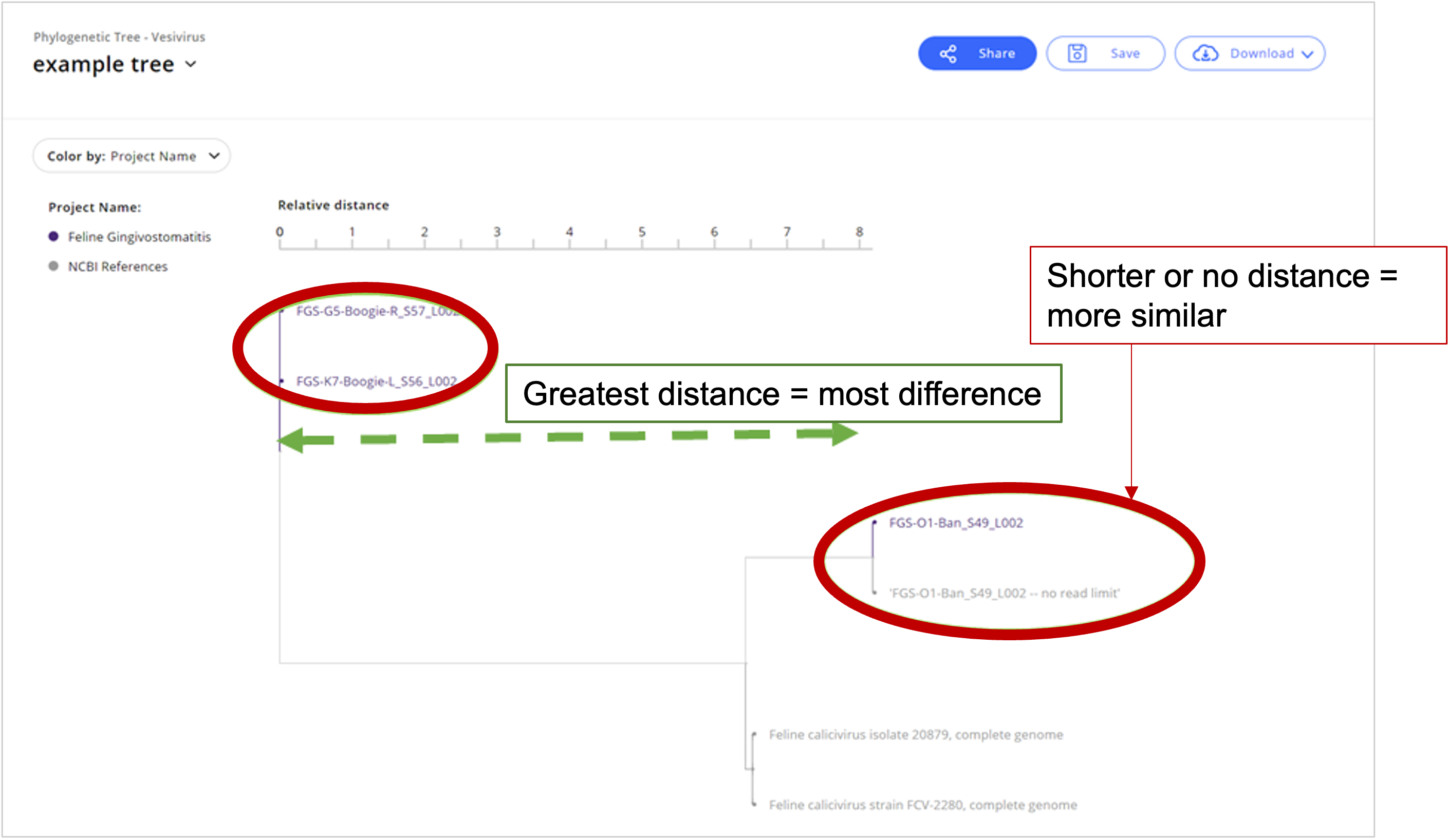 Interpreting a Phylogenetic Tree – CZ ID Help Center