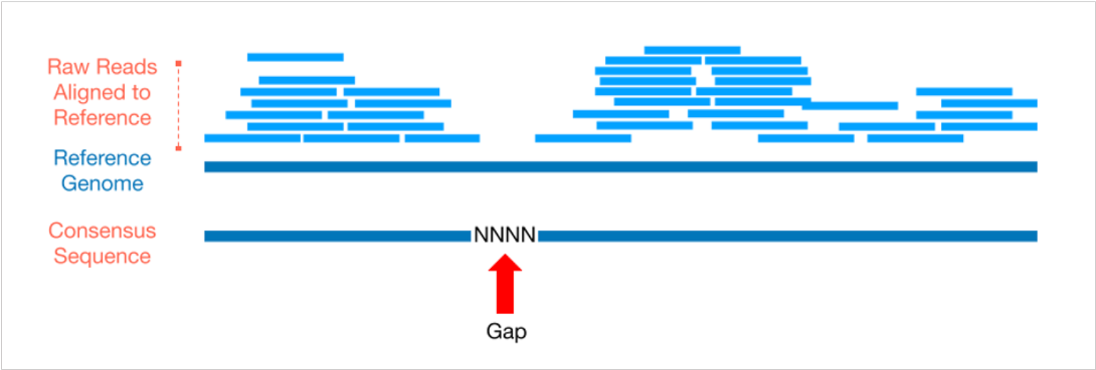 ConsensusGenome_Schematic.png