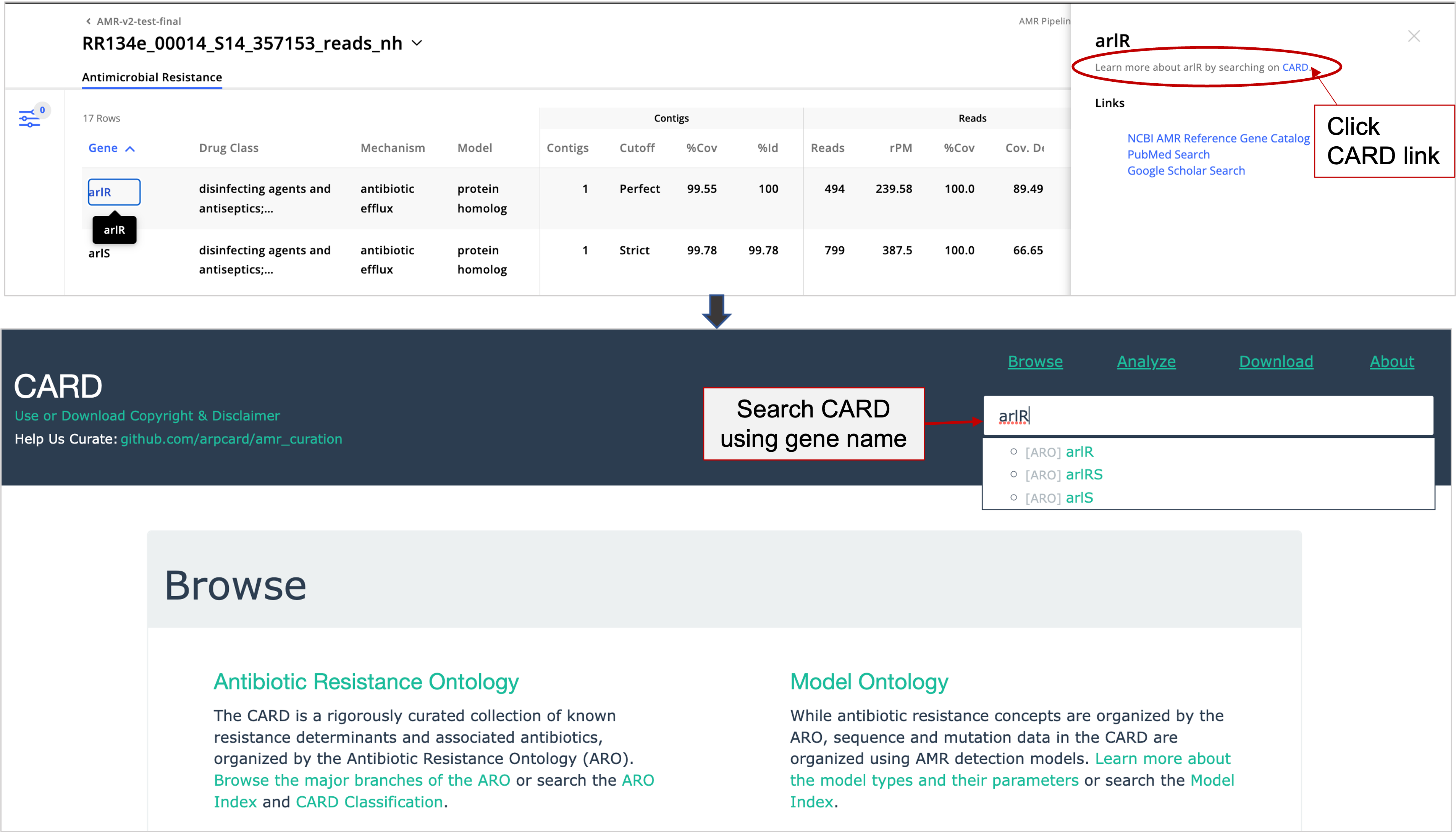 AMR Sample Report Metrics and Analysis CZ ID Help Center