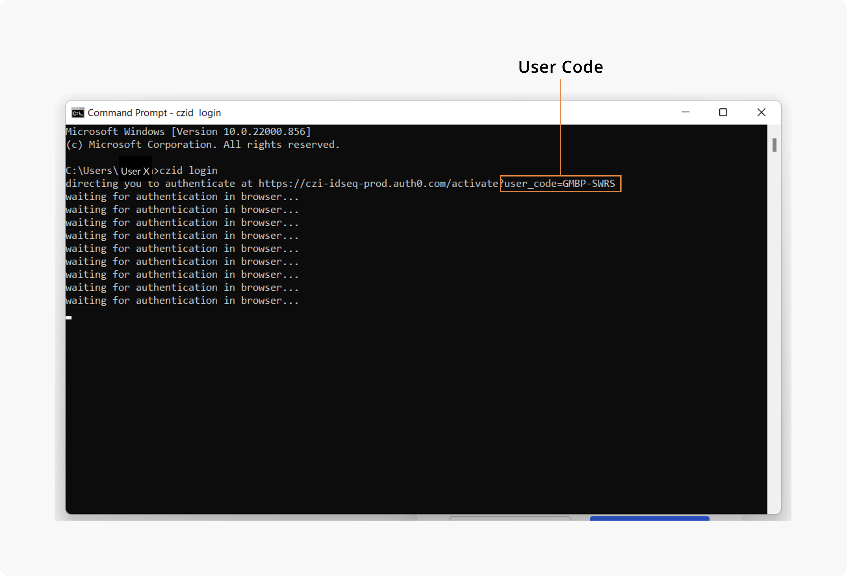 Win_UserCode.png