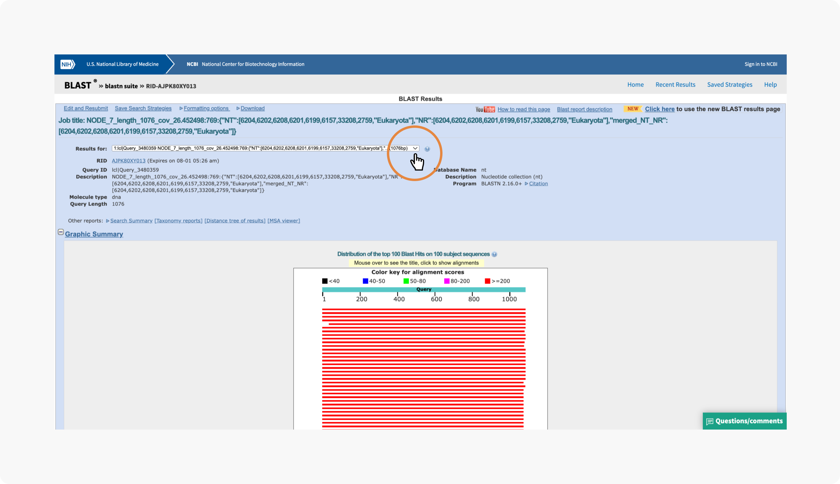 BLAST_NCBI-ResultsPage.png