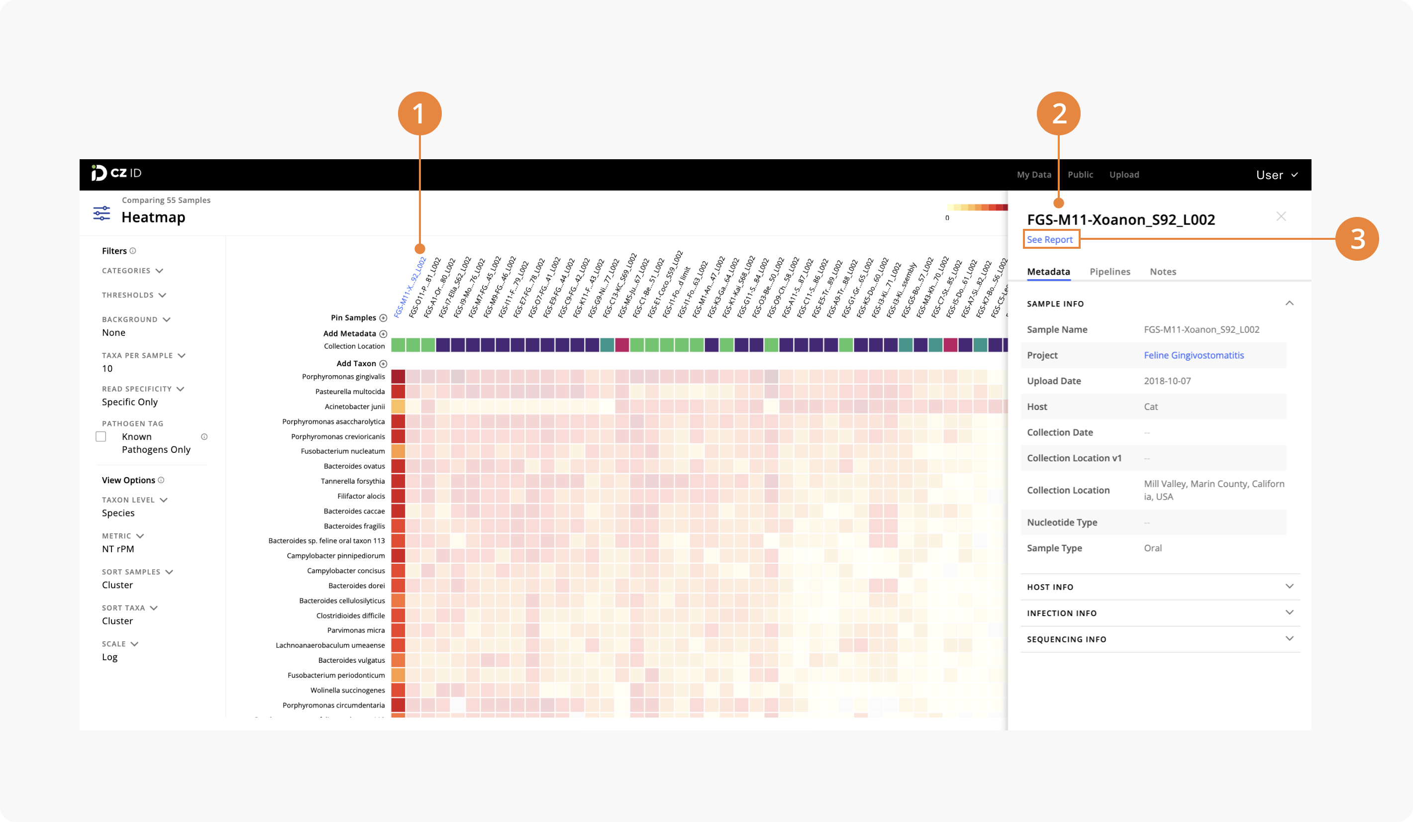 Heatmap_SampleDetails.png