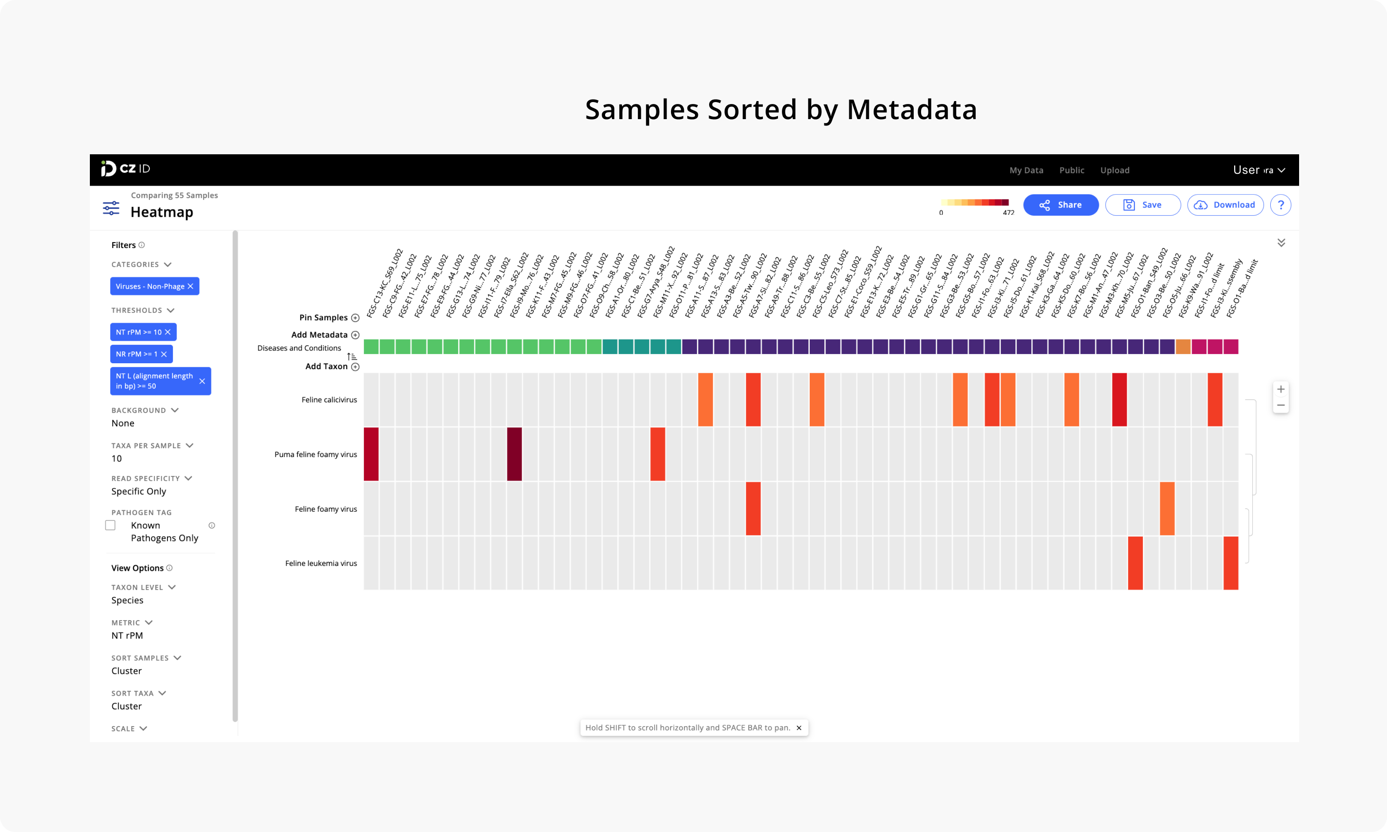 Heatmap_MetadataSortedSamples.png