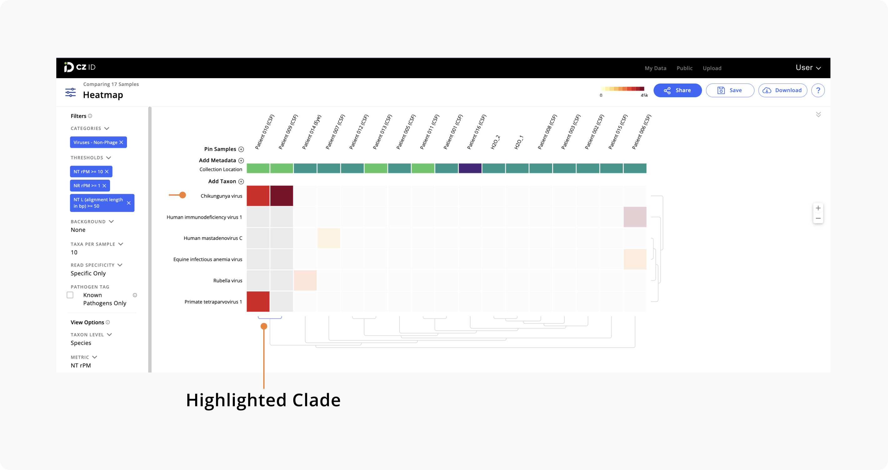 Heatmap_Clade.png
