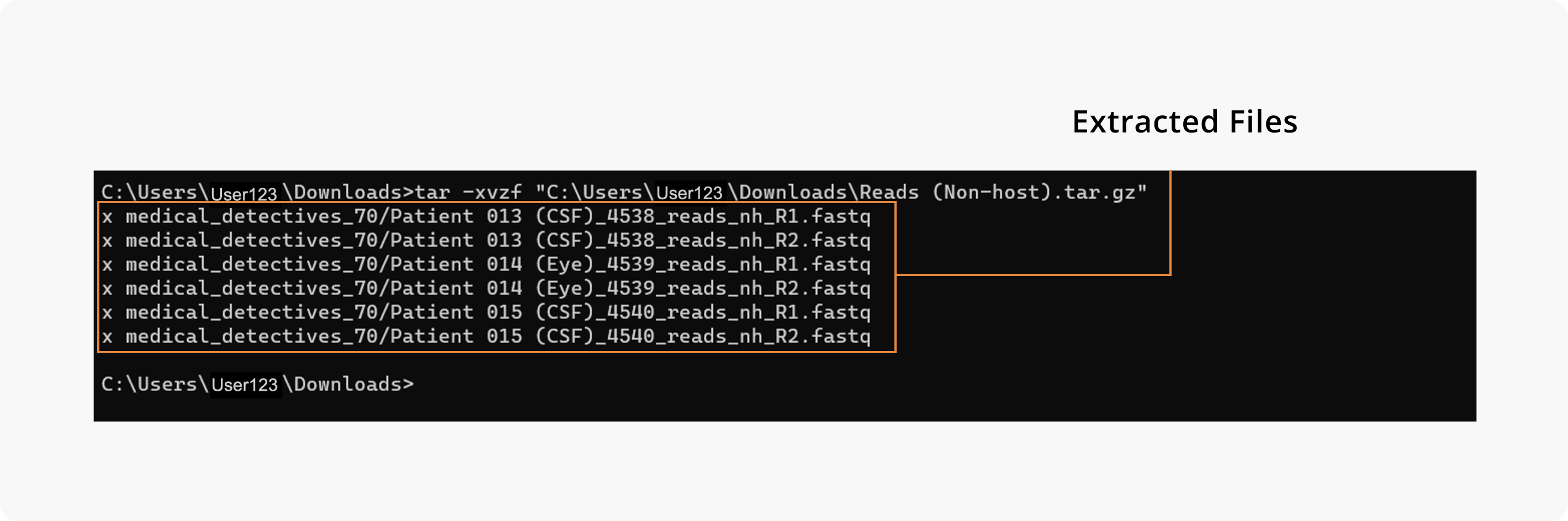 Win_CLI-ExtractedFiles.png