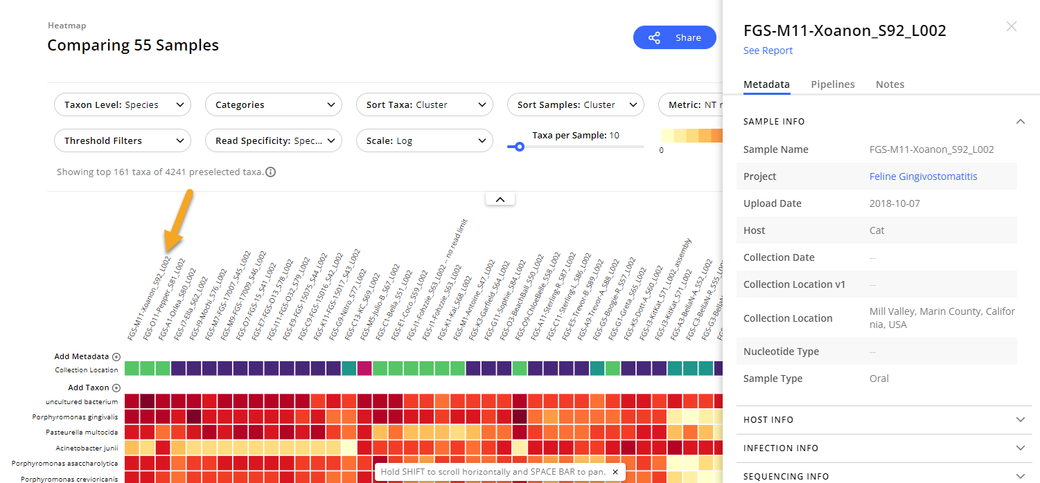 Viewing Sample and Taxon Details in the Heatmap – CZ ID Help Center