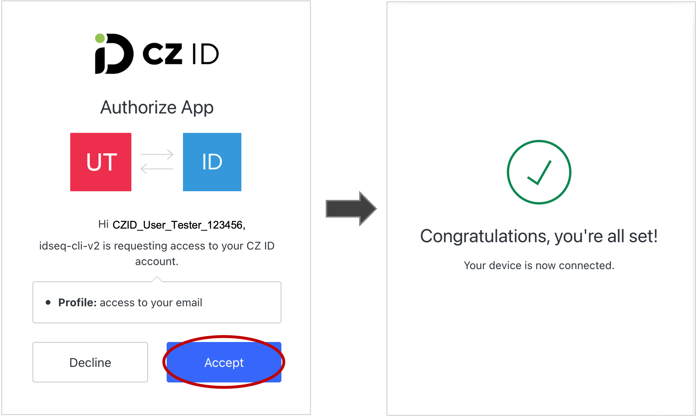 Homebrew_CZIDlogin_Success.png