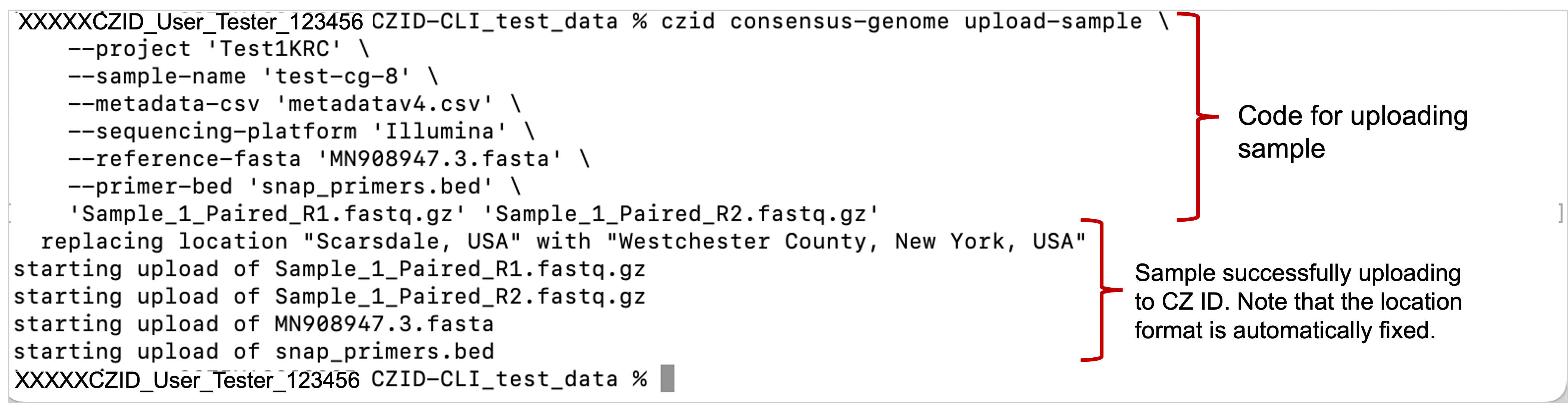 CZID-CLI_UploadCode.png