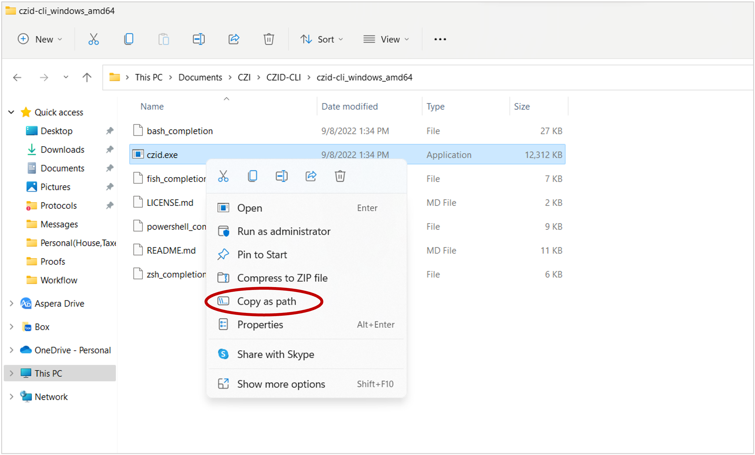 Windows_czidexe_CopyPath.png