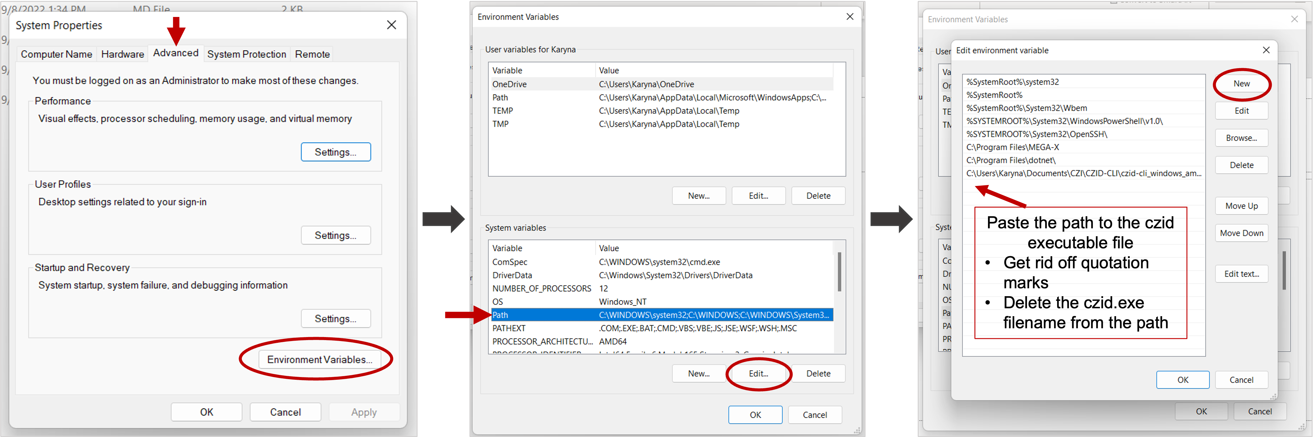 Windows_EnvVariables.png