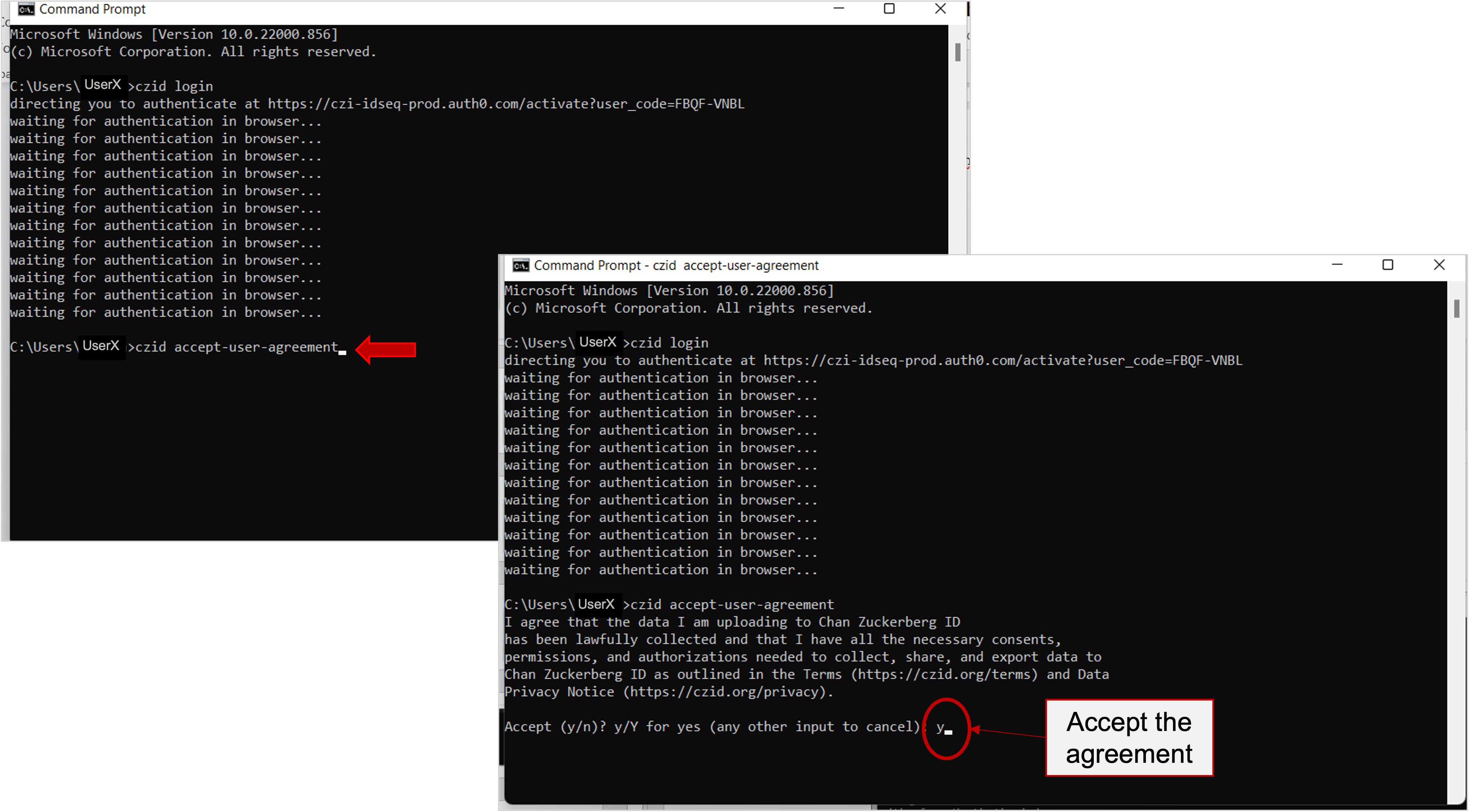 CZID-CLI_Windows_UserAgreement.png