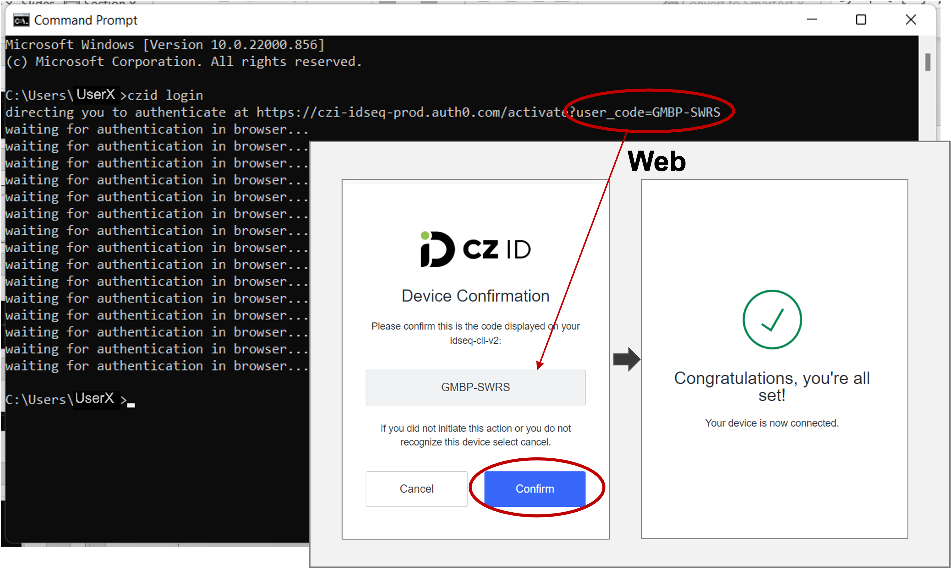 CZID-CLI_Windows_Login_Allset.png