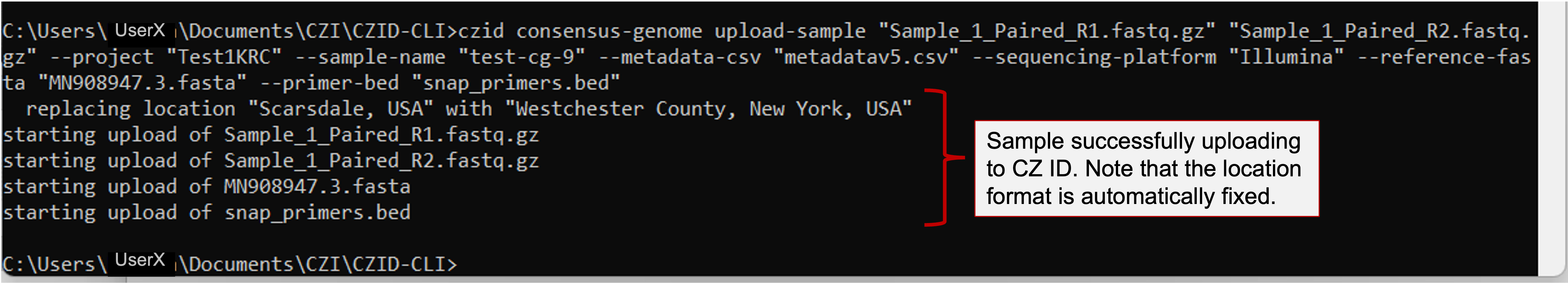 CZID-CLI_Windows_UploadCommand.png